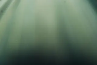 Dégradé, vert